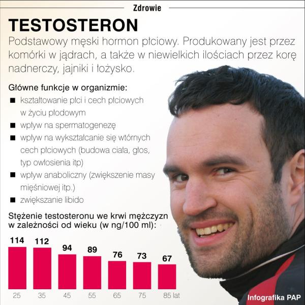 testosteron_infografika_jpg.jpg